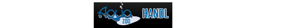 Primary Raster logo