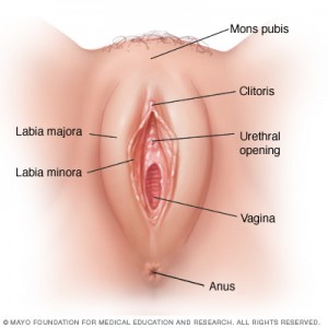asijská sexuální masážní trubiceporno photos.com