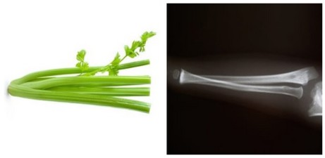 Stonek celeru vypadá jako kost a nepřekvapivě obsahuje celer látky, které jsou vhodné pro výživu kosti. Jmenovitě je to křemík, jenž dává kostím jejich sílu. Ještě jeden ohromující fakt: celer obsahuje 23% sodíku a kosti jsou také z 23% tvořeny sodíkem! 5) Rajče – srdce