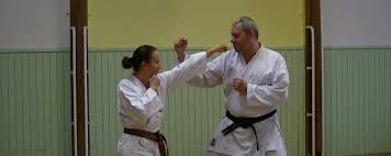 RYU - SHOTOKAN - karate klub Vilém Schick