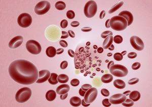 Krev je kapalná, viskózní cirkulující tkáň složená z tekuté plazmy a buněk (červené krvinky, bílé krvinky, krevní destičky). Medicínské termíny souvisící s krví často začínají na hemo- nebo hemato-, což je odvozeno z řeckého slova haema znamenajícího „krev“.