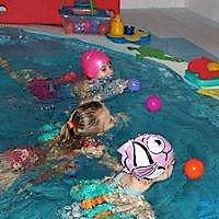 plavání dětí samostatně