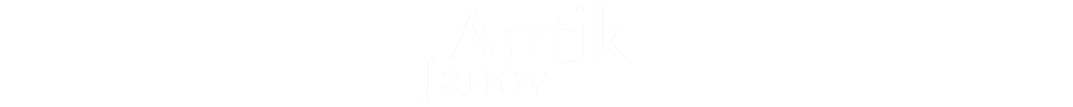 Primary Raster logo