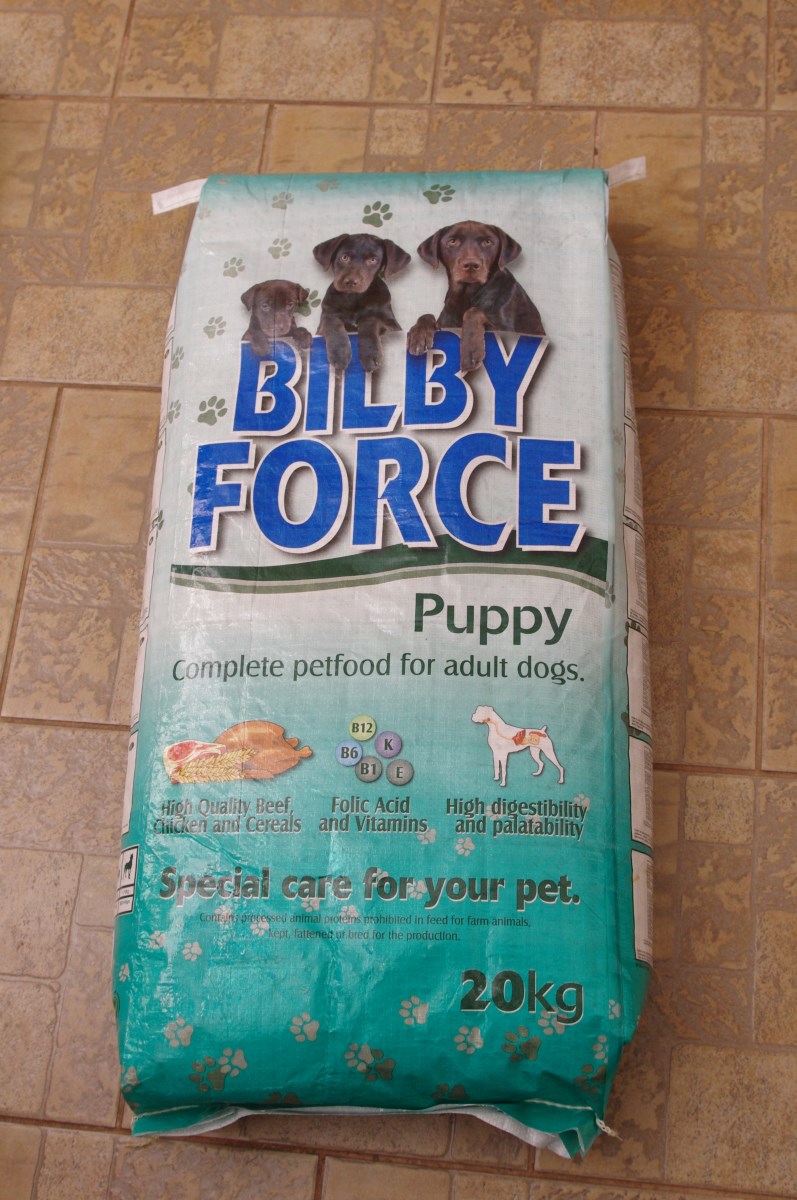 Bilby Force Puppy