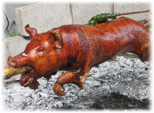 Sele na rožni