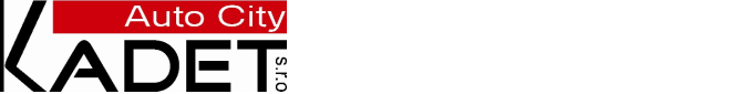 Primary Raster logo