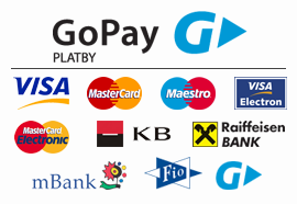 go pay banner